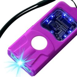 REAX Mini Stun Gun for Self Defense